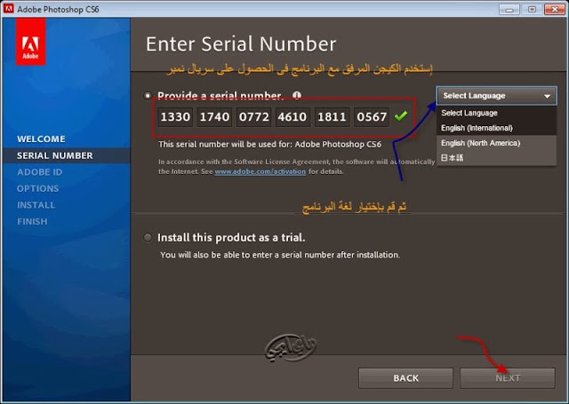 Illustrator crack